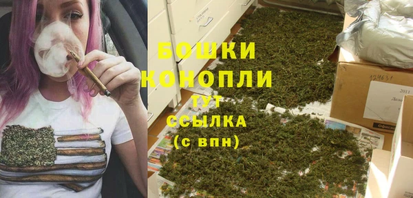 a pvp Белокуриха
