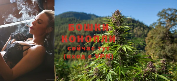 a pvp Белокуриха
