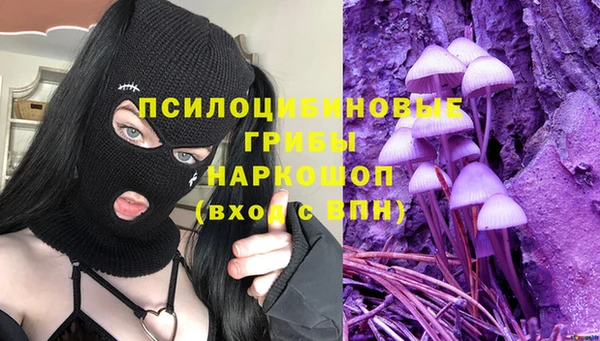 эйфоретик Балахна